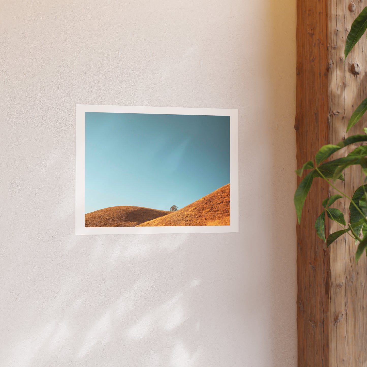 "Paso Robles" - Open Edition Fine Art Print