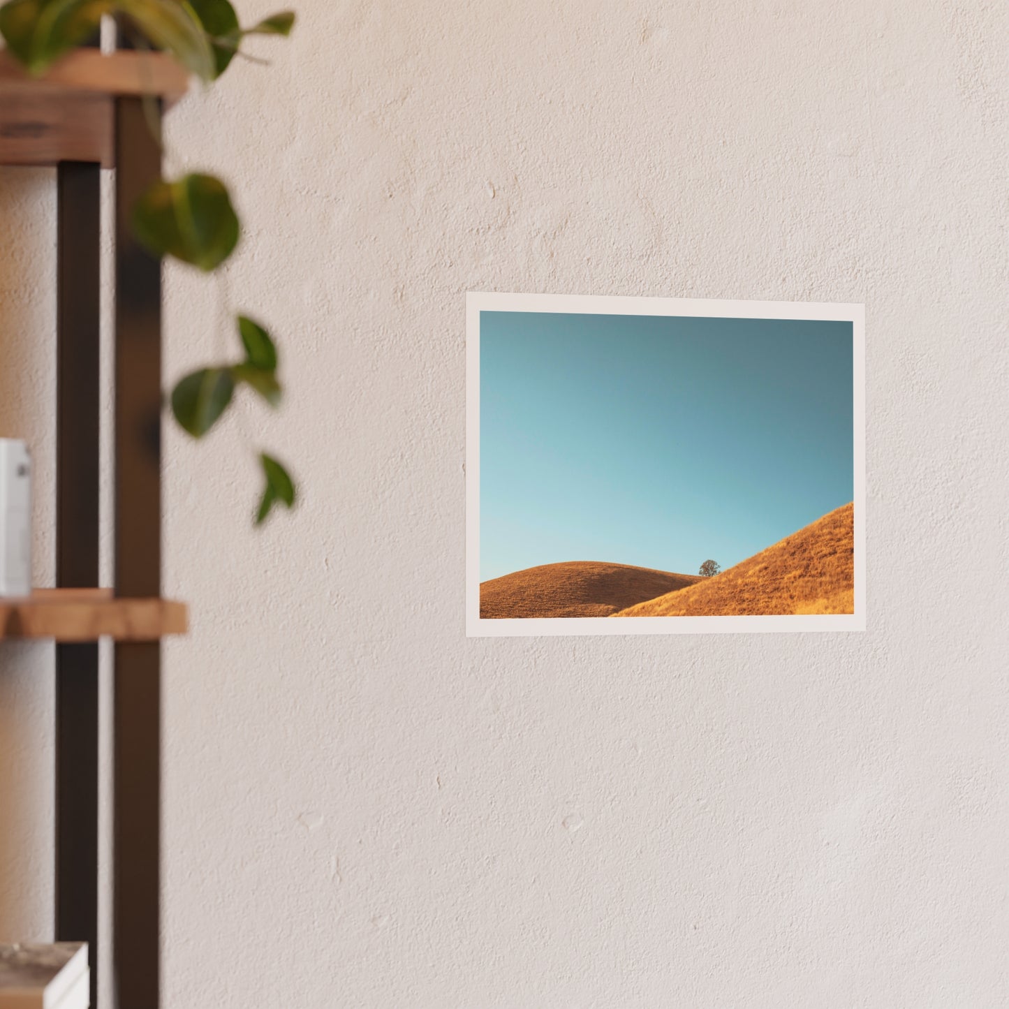 "Paso Robles" - Open Edition Fine Art Print