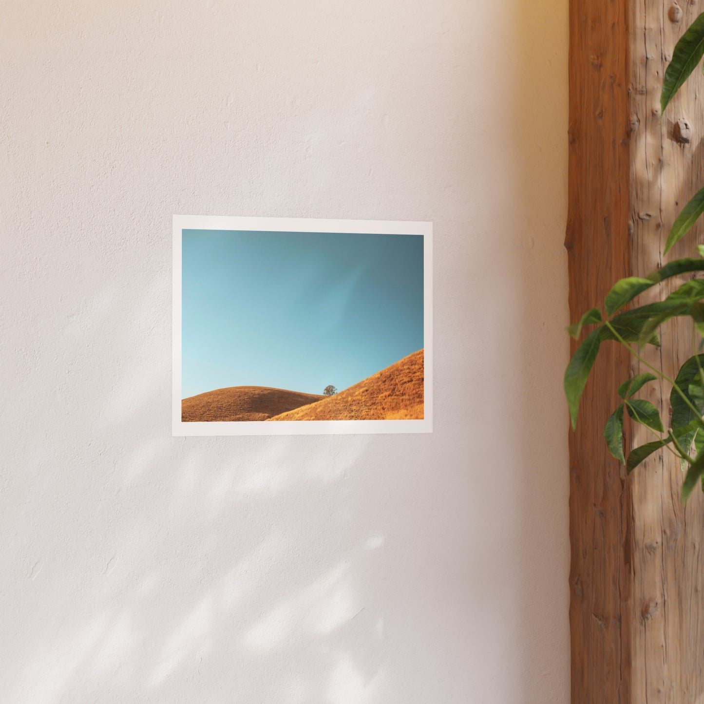 "Paso Robles" - Open Edition Fine Art Print