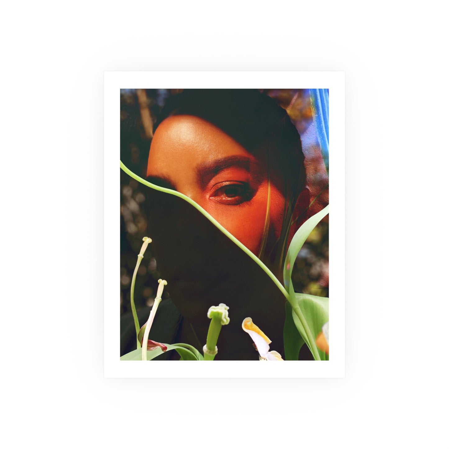 "Plant Life" - Open Edition Fine Art Print