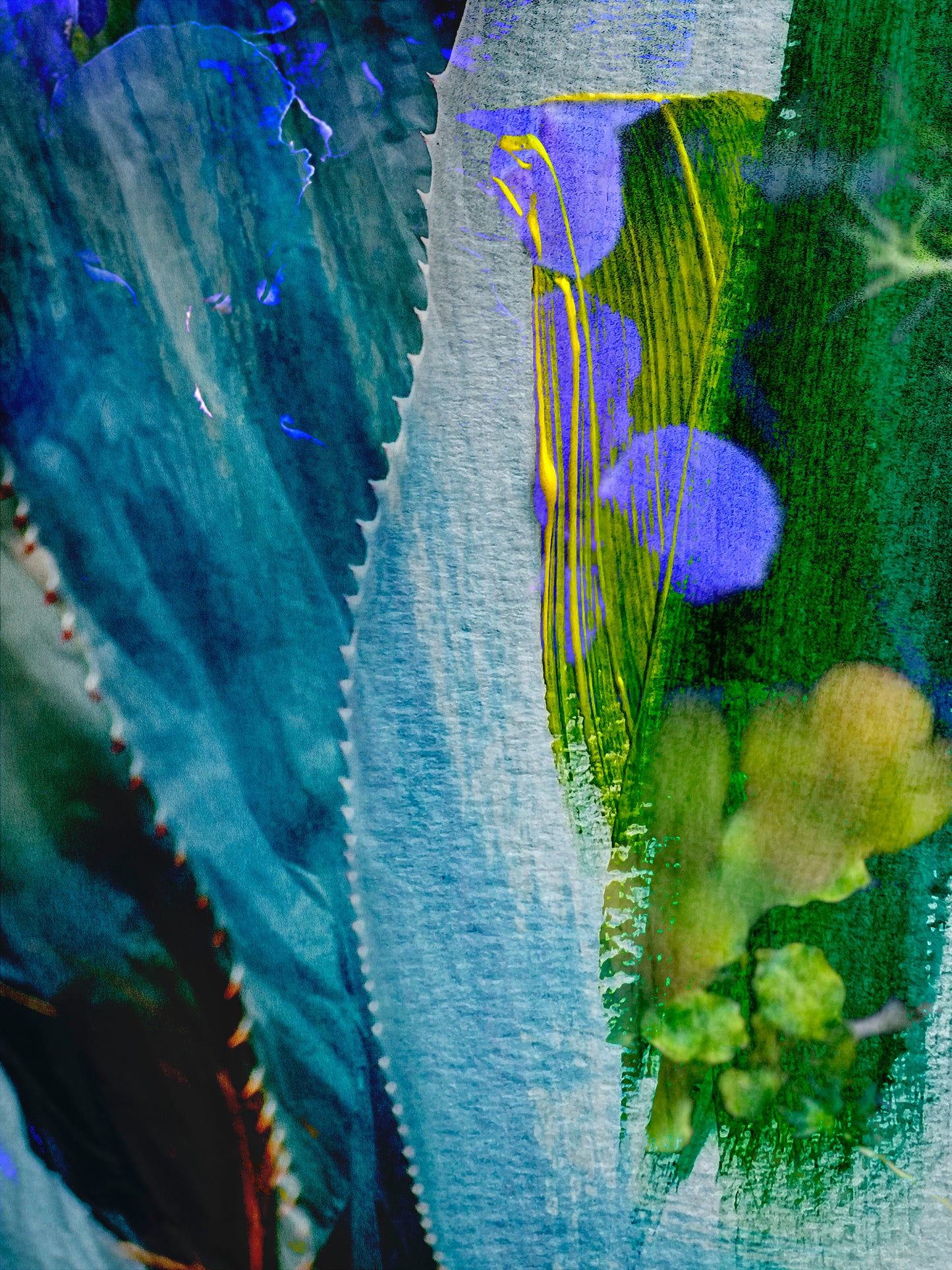 "Violet Blue In The Wild" Open Edition Fine Art Print