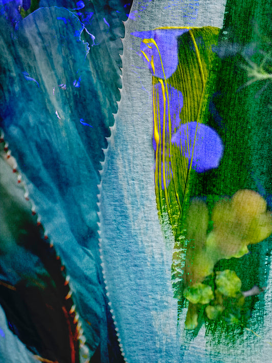 "Violet Blue In The Wild" Open Edition Fine Art Print