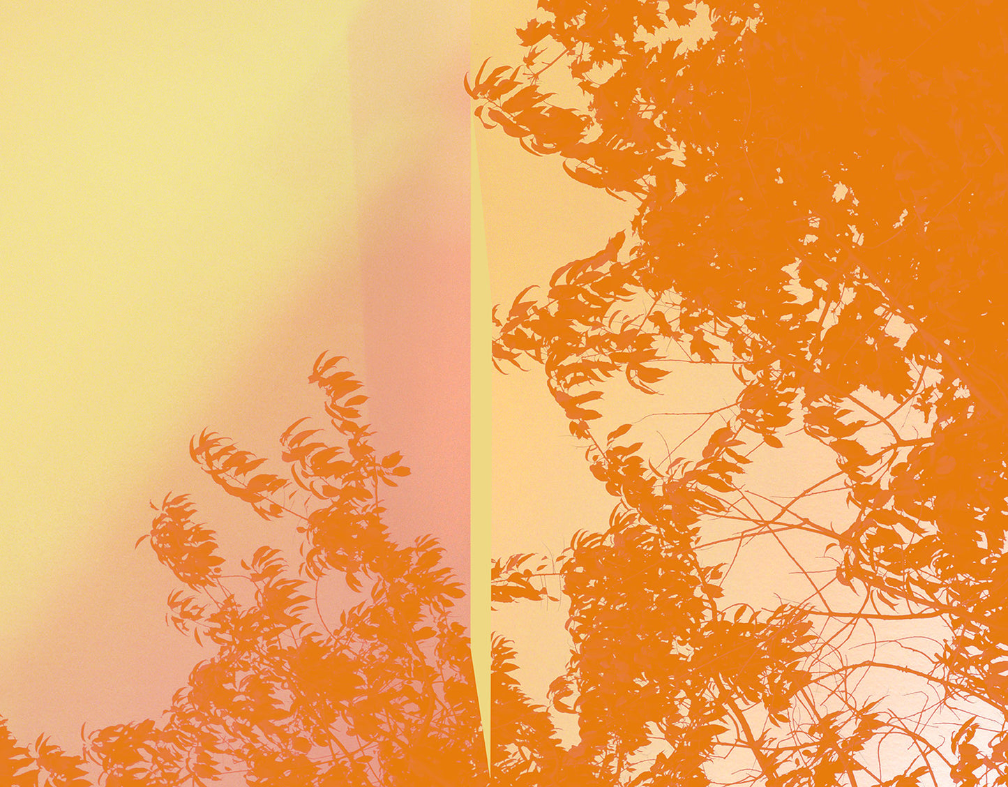 "Yellow Mist" - Open Edition Fine Art Print