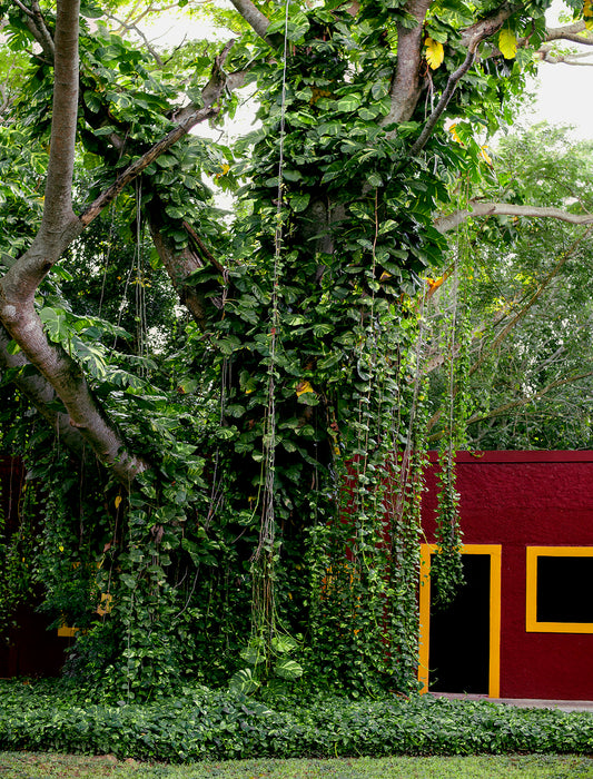 "The Lodge" - Open Edition Fine Art Print