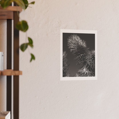 "Take Up Space" - Open Edition Fine Art Print