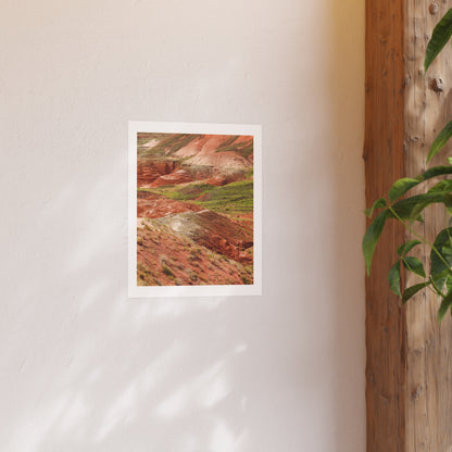 "Petrified Forest" - Open Edition Fine Art Print