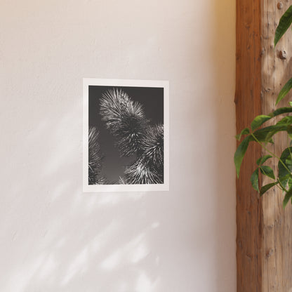 "Take Up Space" - Open Edition Fine Art Print