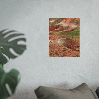 Petrified Forest