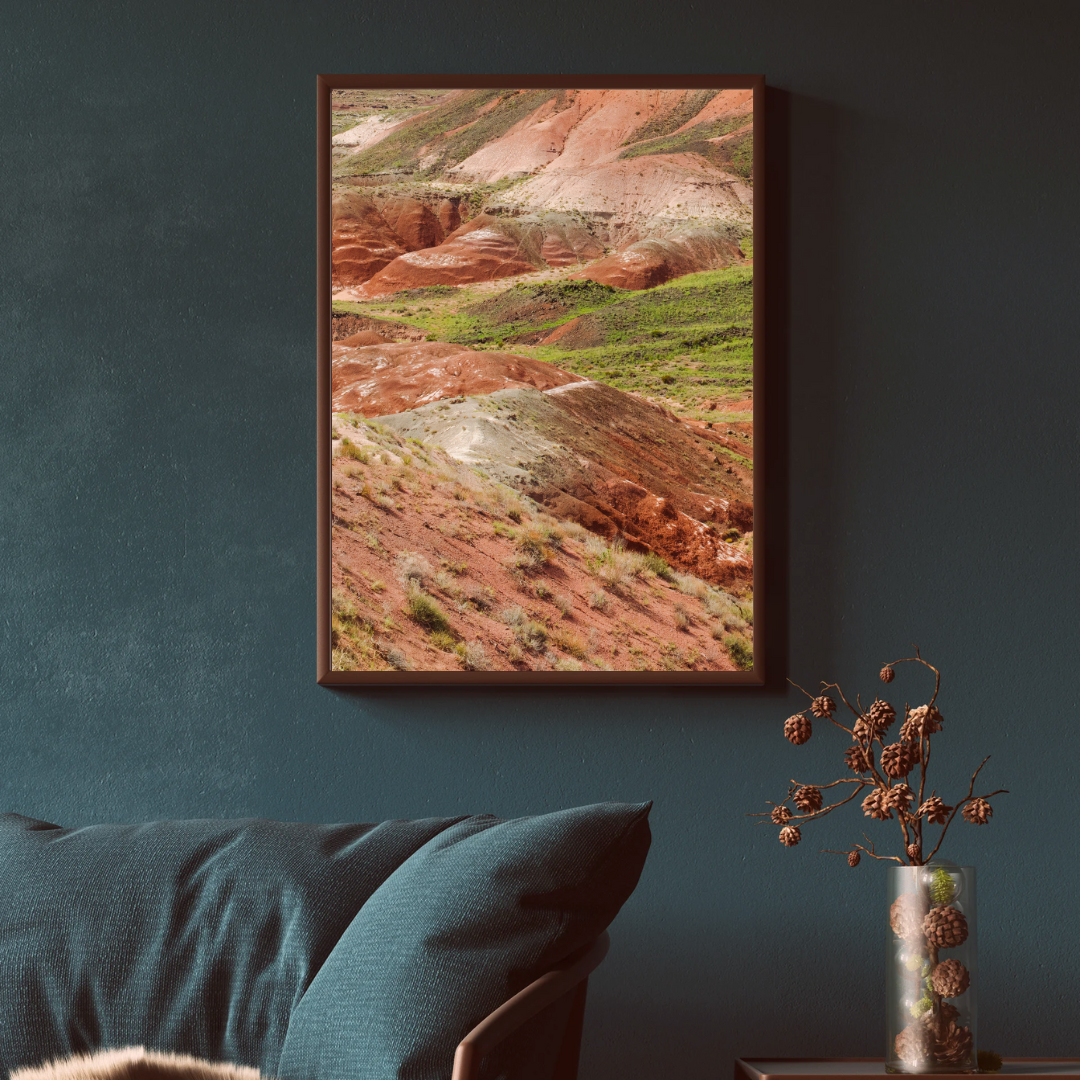 Petrified Forest