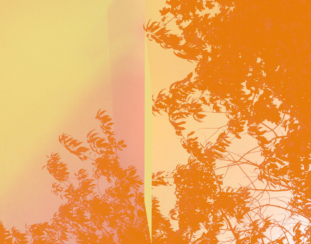 Yellow Mist abstract photography print by Niqui Carter, soft golden mist
