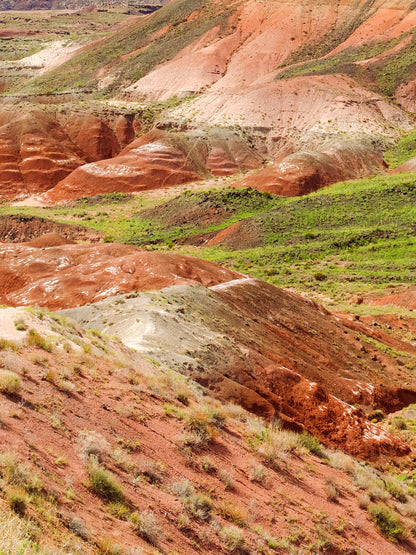 Petrified Forest landscape photography print by Niqui Carter, textured earth and mineral forms