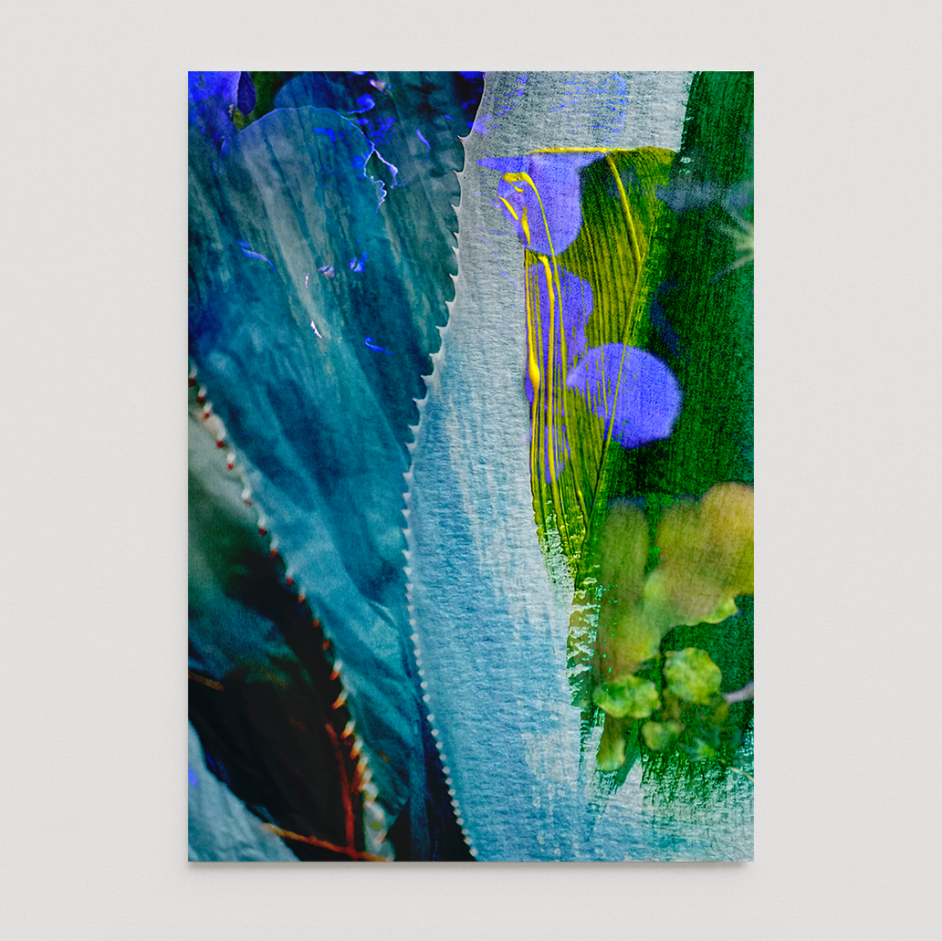 "Violet Blue In The Wild" Open Edition Fine Art Print