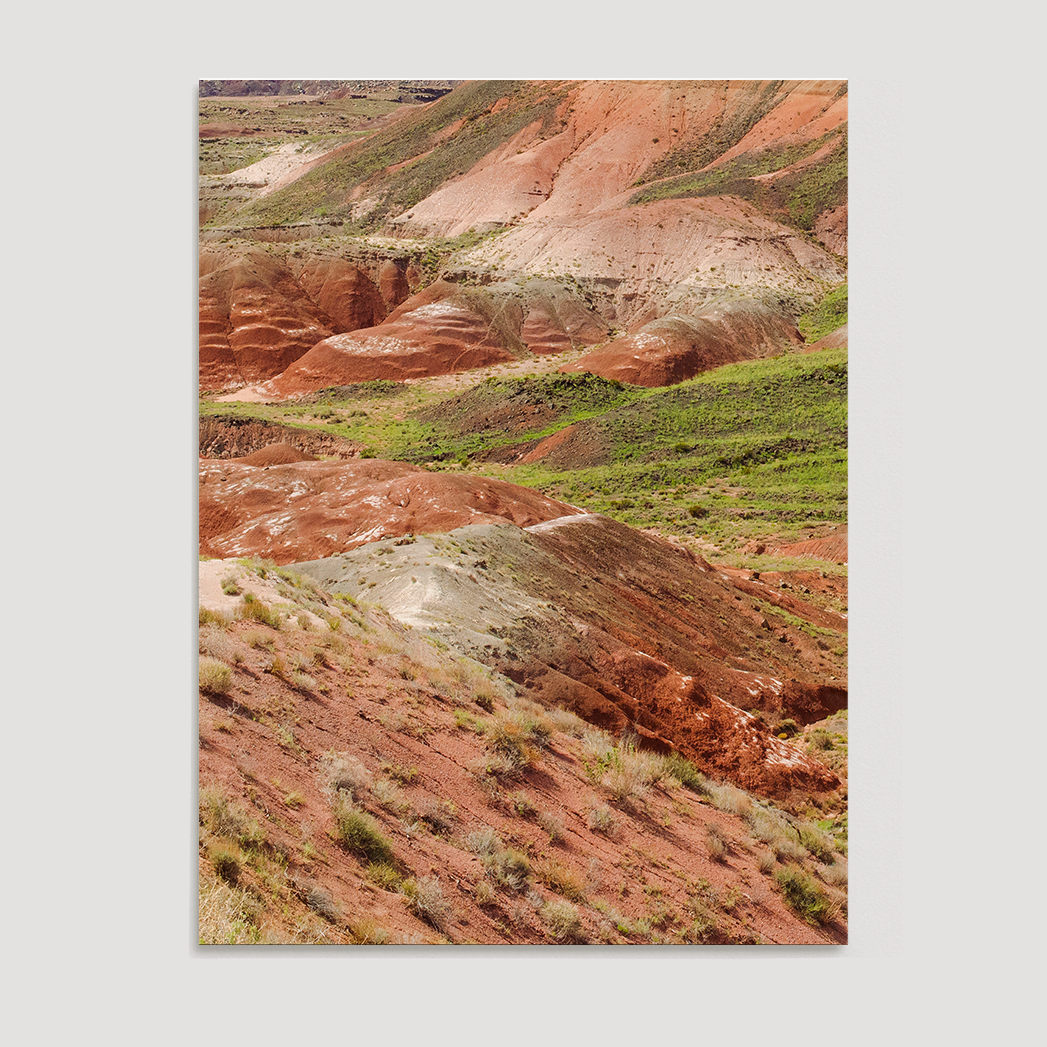 Petrified Forest