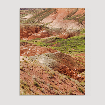 Petrified Forest