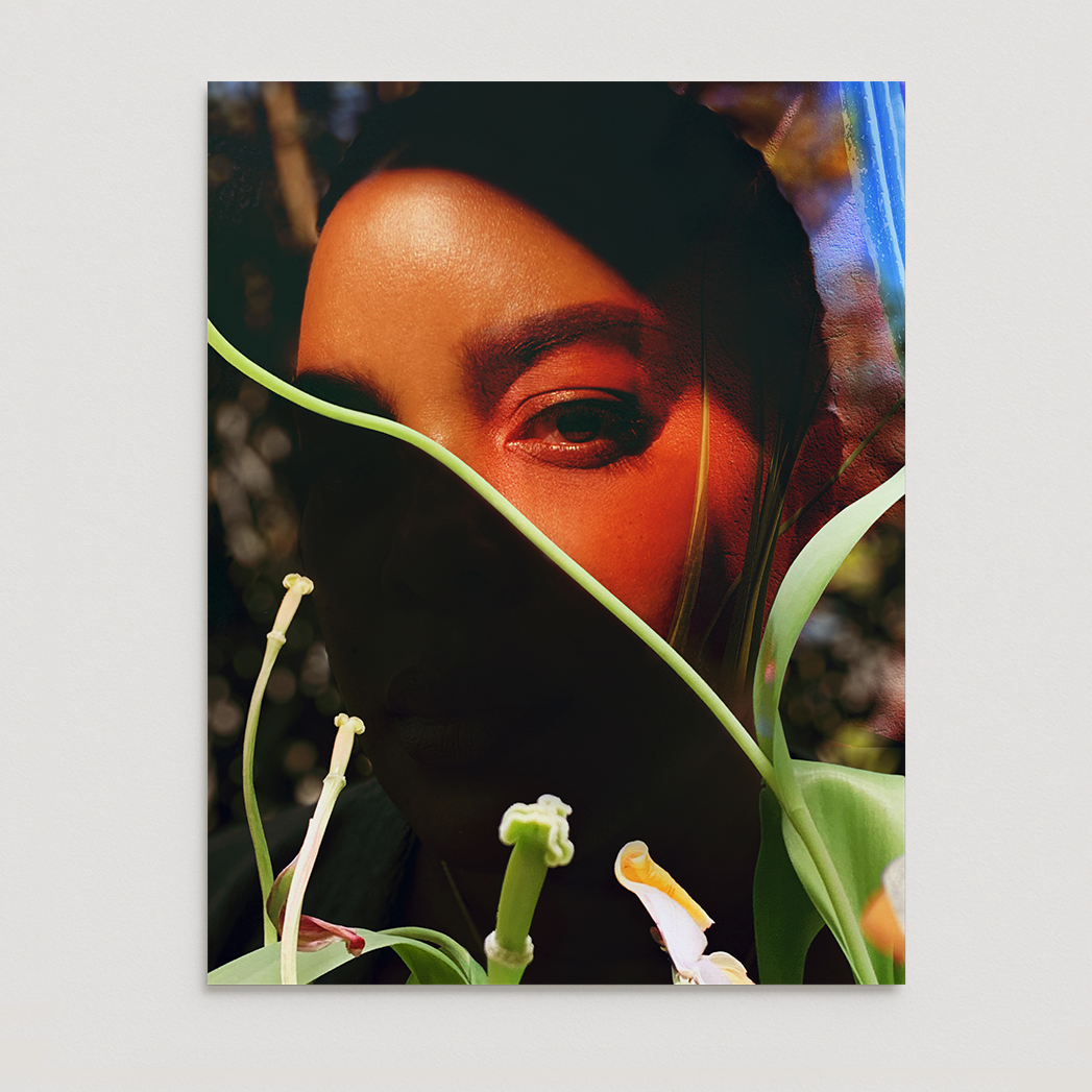 "Plant Life" - Open Edition Fine Art Print