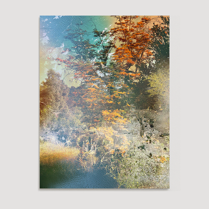 "Silk Oak" - Open Edition Fine Art Print