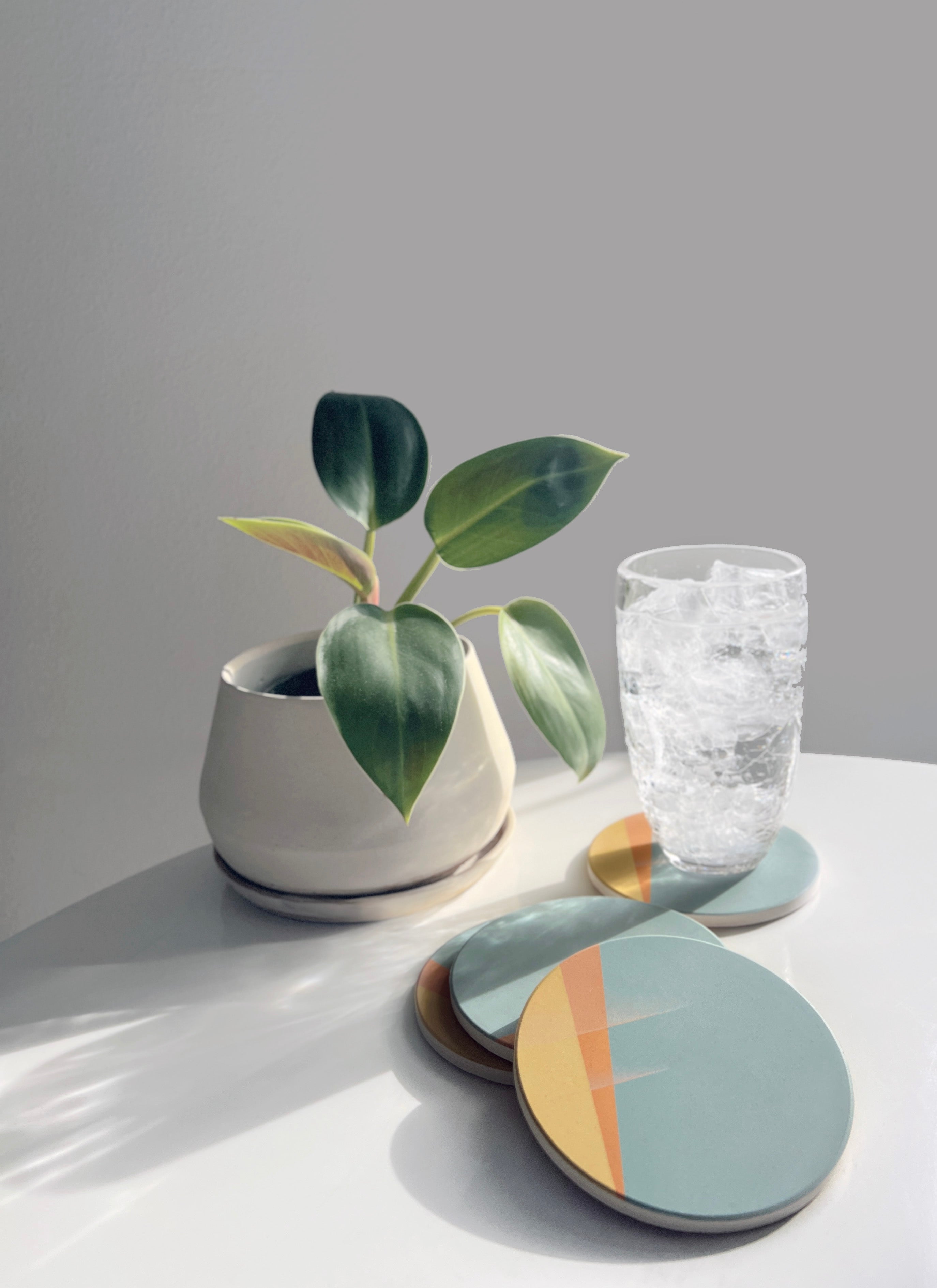 Small potted plant and glass on a white surface with a gray background