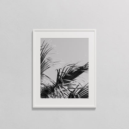 With the Wind