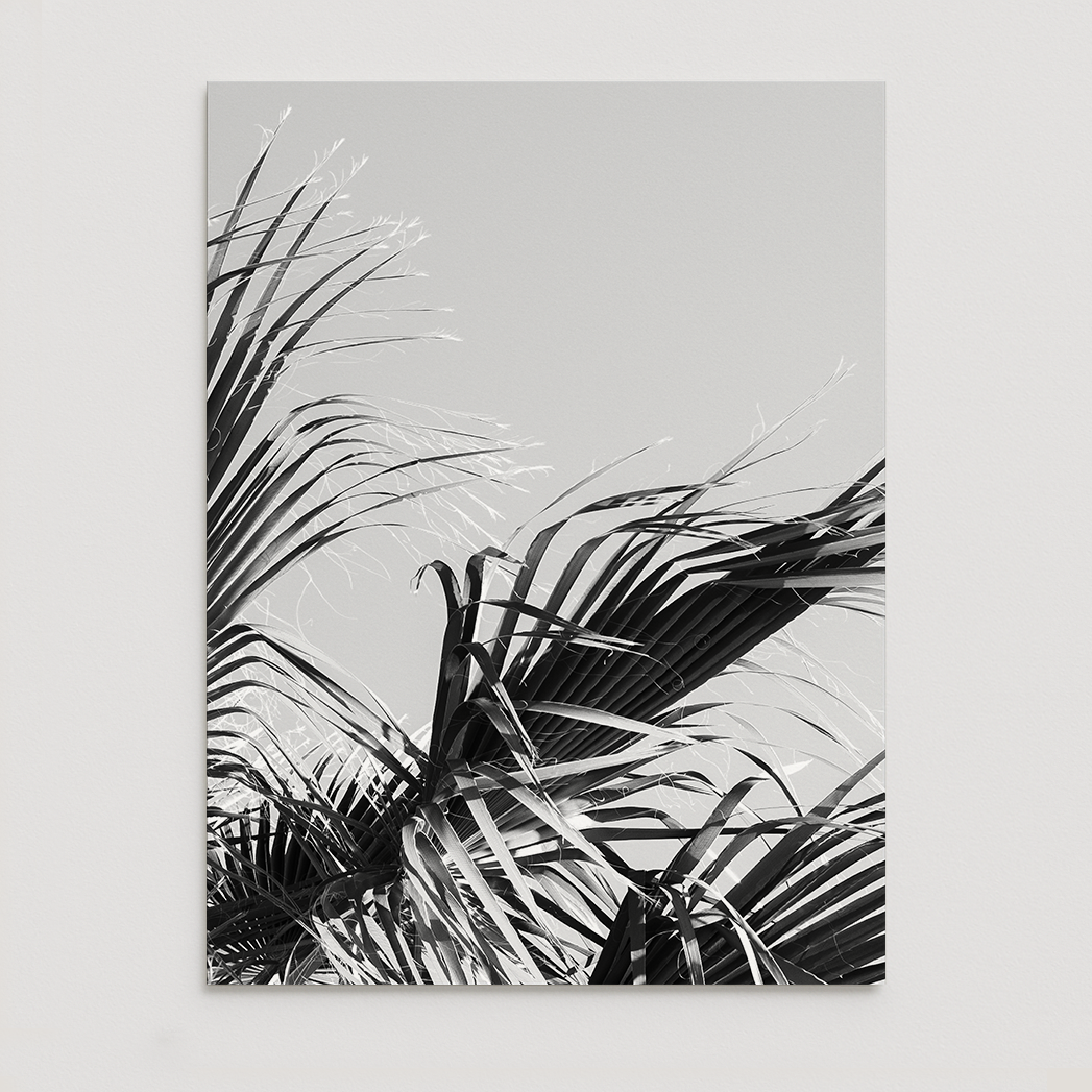 "With the Wind" - Open Edition Fine Art Print