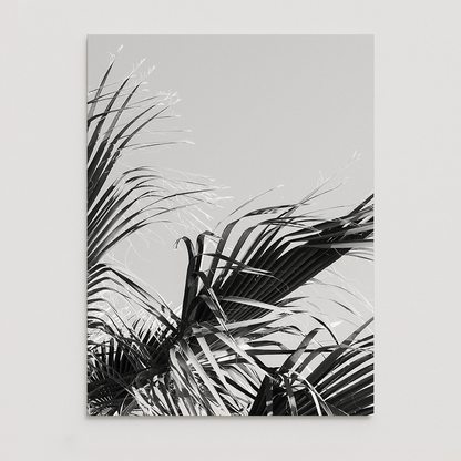 "With the Wind" - Open Edition Fine Art Print